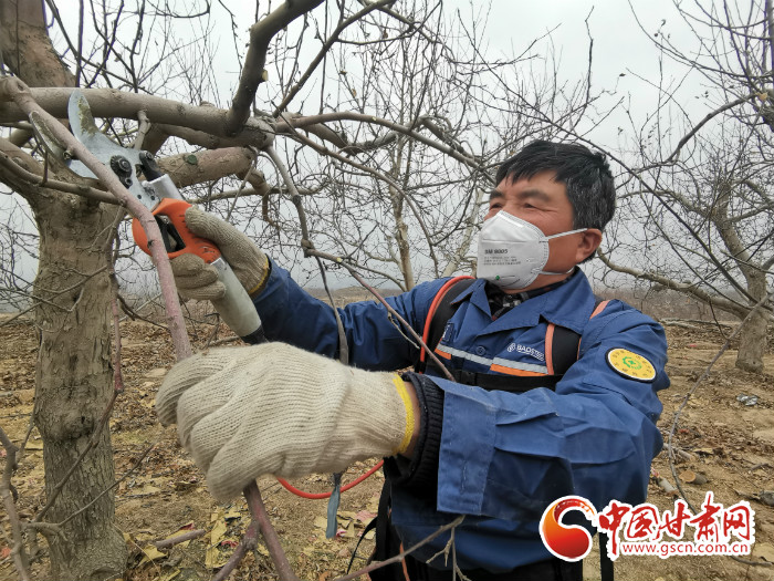 【甘肅全民戰(zhàn)“疫”】白銀靖遠(yuǎn)：摁下春耕生產(chǎn)鍵  林果扶貧不松勁  