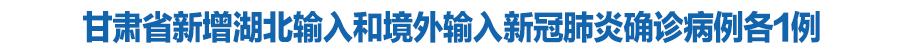 甘肅省新增湖北輸入和境外輸入新冠肺炎確診病例各1例