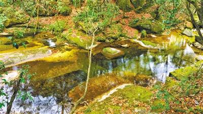 甘肅旅游丨八福溝，西秦嶺深處的水韻秘境