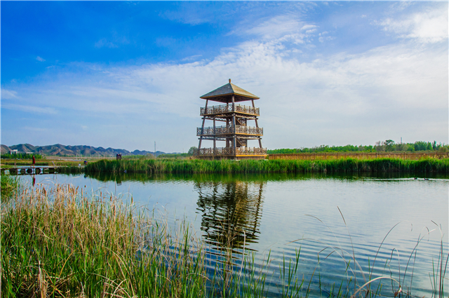 秦王川國家濕地公園_副本.jpg