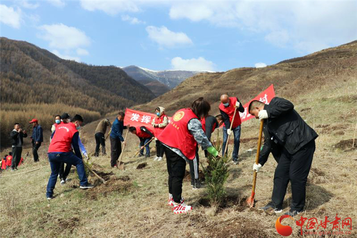 蘭州市兩山指揮部組織黨員干部赴幫扶村植樹（圖）