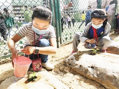 校園新鮮事丨校園小農(nóng)場(chǎng) 我勞動(dòng)我光榮