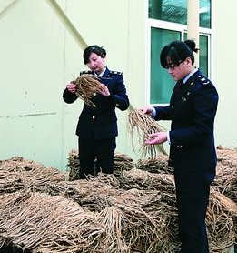 甘肅中藥材出口同比增長近3倍