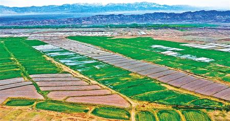 【決戰(zhàn)決勝脫貧攻堅(jiān)】繪就千里沃野新圖景——甘肅省加快推進(jìn)高標(biāo)準(zhǔn)農(nóng)田建設(shè)走筆