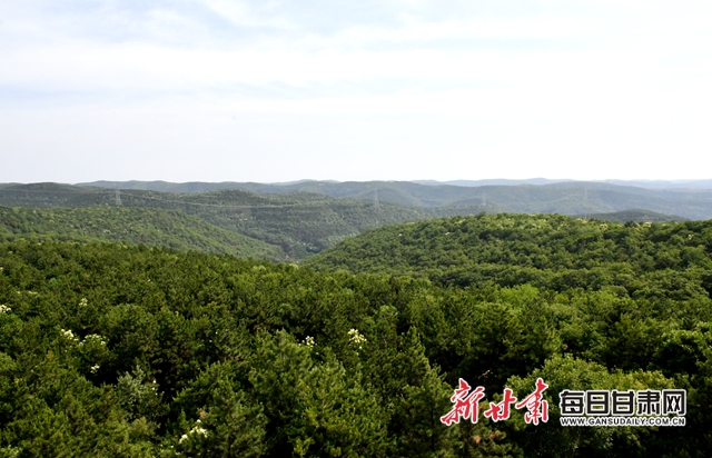 【甘肅生態(tài)環(huán)保媒體行】子午嶺深處，一家三代人用生命守護(hù)黃土高原的“天然生態(tài)屏障”