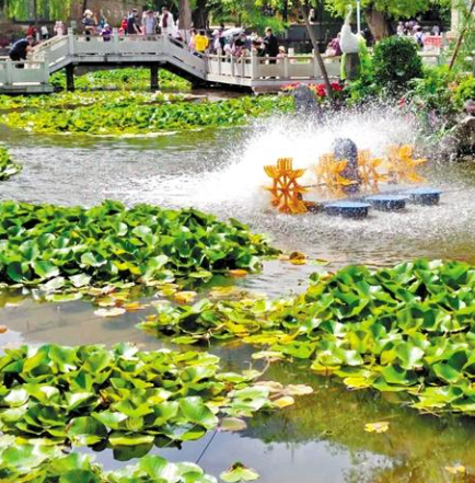 走，到五泉山公園看花展去