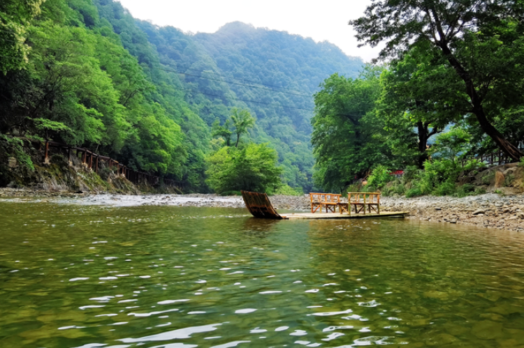 【小隴畫(huà)報(bào)·95期】康縣：來(lái)陽(yáng)壩，“森”呼吸，我“氧”你