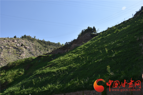 厚植綠色沃土 筑牢生態(tài)屏障——九州臺(tái)片區(qū)水土保持綜合試點(diǎn)項(xiàng)目顯成效