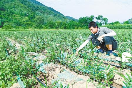 【走向我們的小康生活】安居樂業(yè) 幸福花開