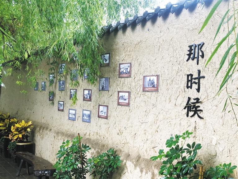 花村·顧家善：望得見山 看得見水 記得住鄉(xiāng)愁