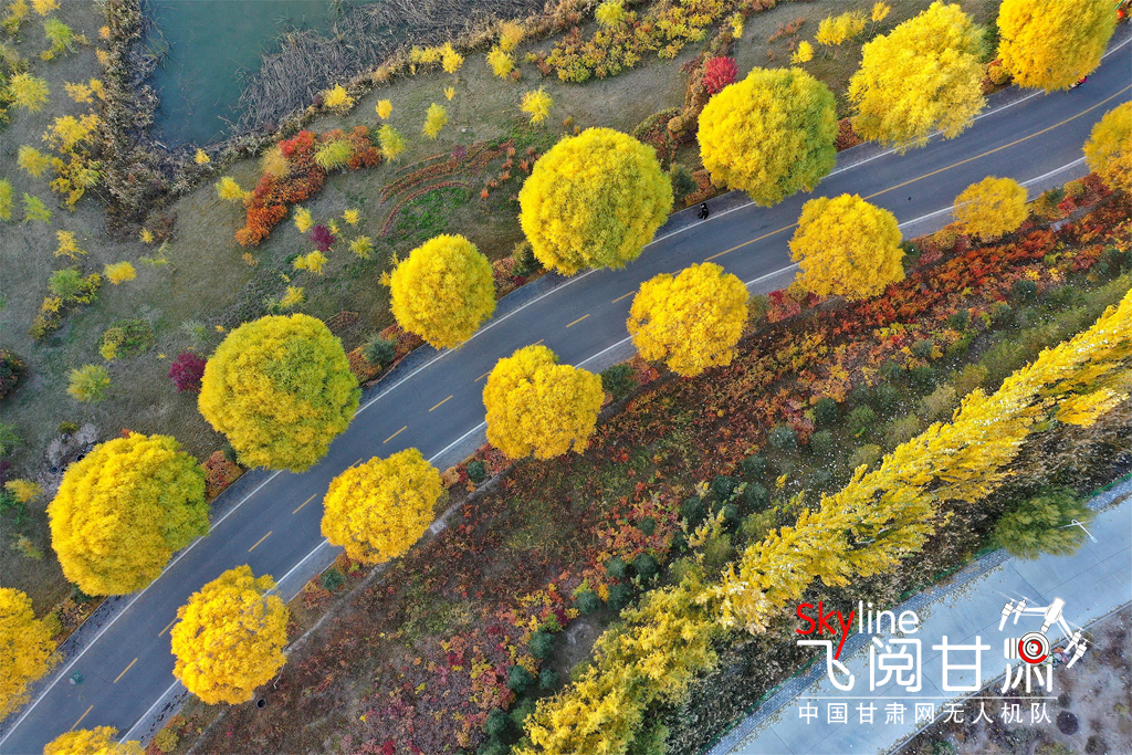 【飛閱甘肅】張掖濕地公園：深秋美景若油畫(huà)