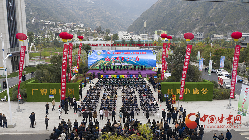 隴南：油橄欖種子經(jīng)過太空遨游后回“娘家”