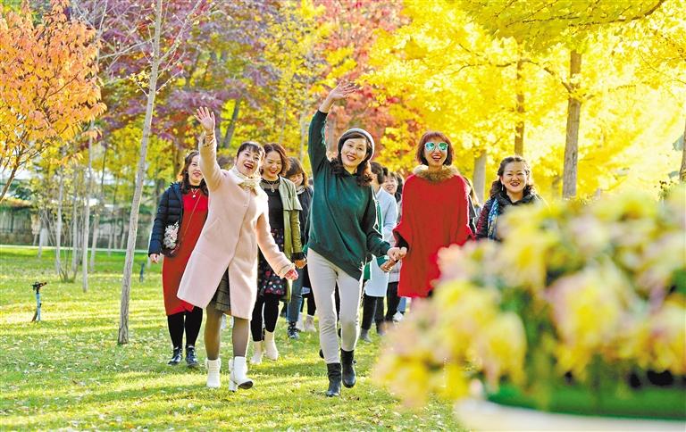 蘭州植物園銀杏美景醉游人