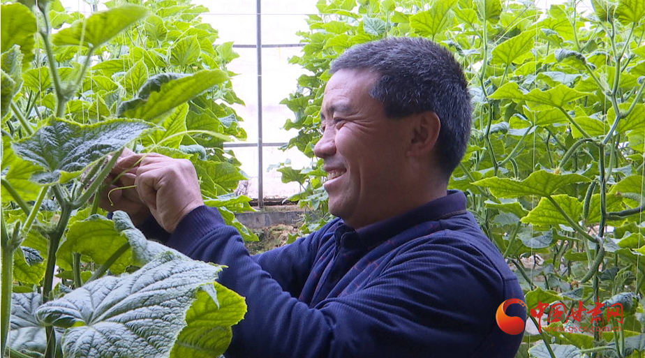 靖遠銀灘村：花式種植 盡顯“最美春天”