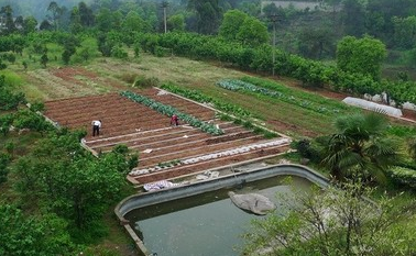 甘肅省加快推動(dòng)家庭農(nóng)場數(shù)量質(zhì)量雙提升