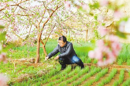 甘肅：時令催人耕種忙，不誤田間一季春