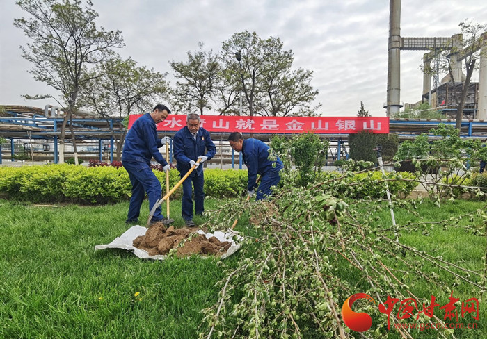 蘭州石化植樹播綠 全力打造美麗工廠（圖）