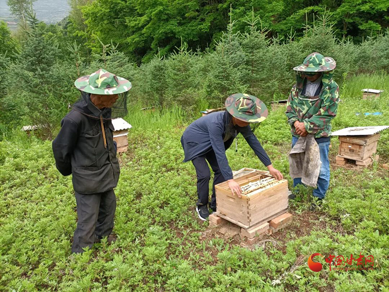 宕昌好梯鄉(xiāng)：念好產(chǎn)業(yè)經(jīng) 奔向小康路