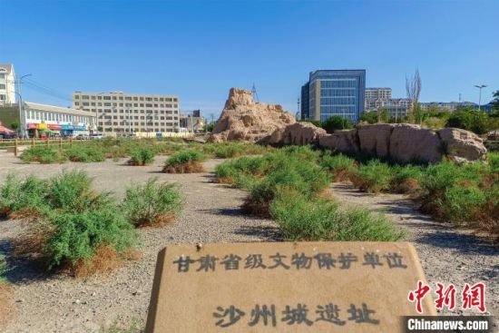 圖為沙州郡城遺址公園古遺址?！⊥醣筱y 攝