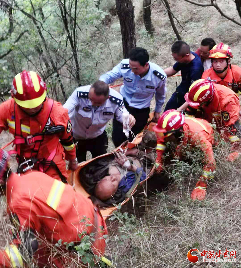 【我為群眾辦實事】平?jīng)鲮`臺：六旬老人山林走失 警民攜手成功施救