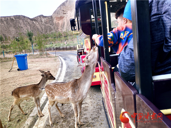 重陽(yáng)節(jié)蘭州野生動(dòng)物園48元可搶門票