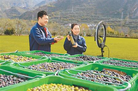 隴南市武都區(qū)祥宇油橄欖公司橄欖油直播銷售全國(guó)各地