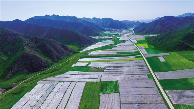 蘭州永登縣打贏三場攻堅(jiān)戰(zhàn)做好“產(chǎn)業(yè)興旺”大文章