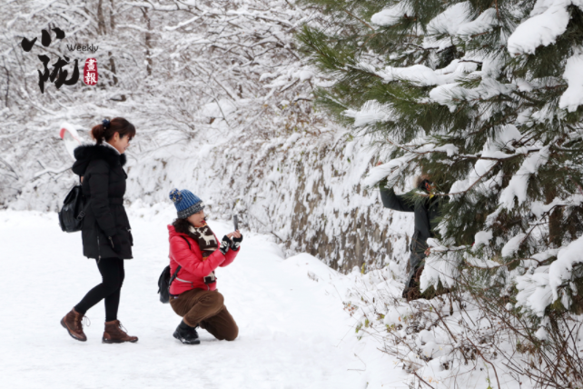 【小隴畫(huà)報(bào)·129期】問(wèn)道崆峒遇風(fēng)雪 青山如黛天地白