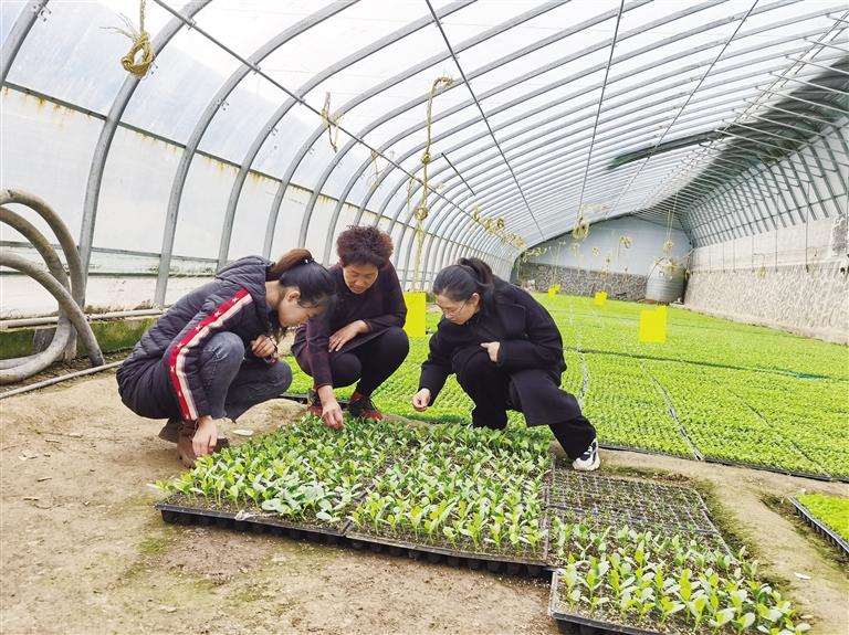 不負(fù)春光忙春耕 皋蘭縣今年計(jì)劃完成農(nóng)作物總播種面積26萬(wàn)畝