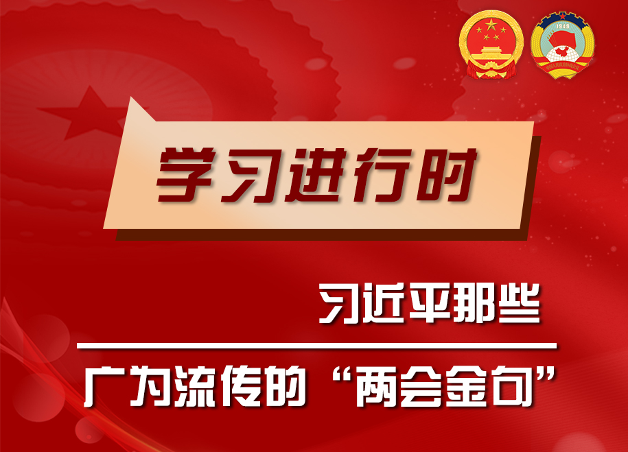 【2022全國兩會(huì)】海報(bào)丨習(xí)近平那些廣為流傳的“兩會(huì)金句”