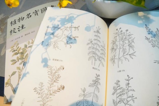 《植物名實(shí)圖考校注》內(nèi)頁。圖片來源：中華書局供圖