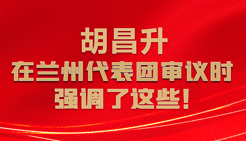 圖解|胡昌升在蘭州代表團審議時強調(diào)了這些！