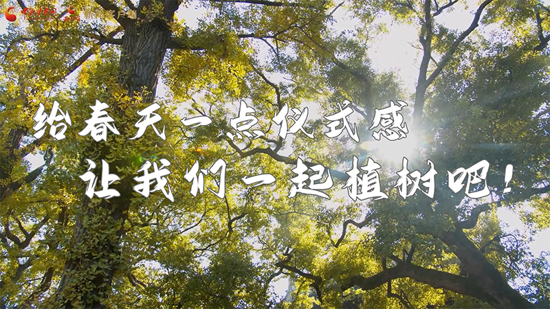 短視頻|給春天一點(diǎn)儀式感，讓我們一起植樹吧！