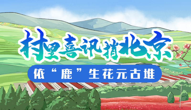 手繪H5丨村里喜訊捎北京 依“鹿”生花元古堆