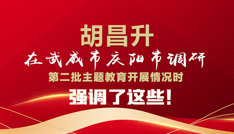 圖解|胡昌升在武威市慶陽市調(diào)研第二批主題教育開展情況時強調(diào)了這些！