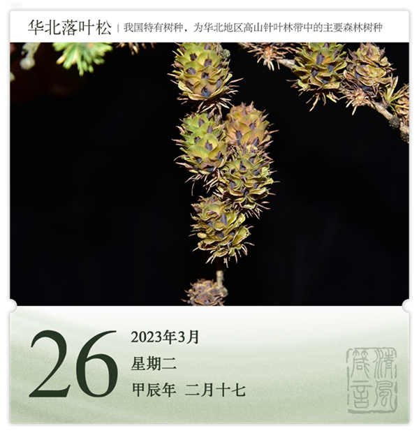 箴歷日歷3-26.png