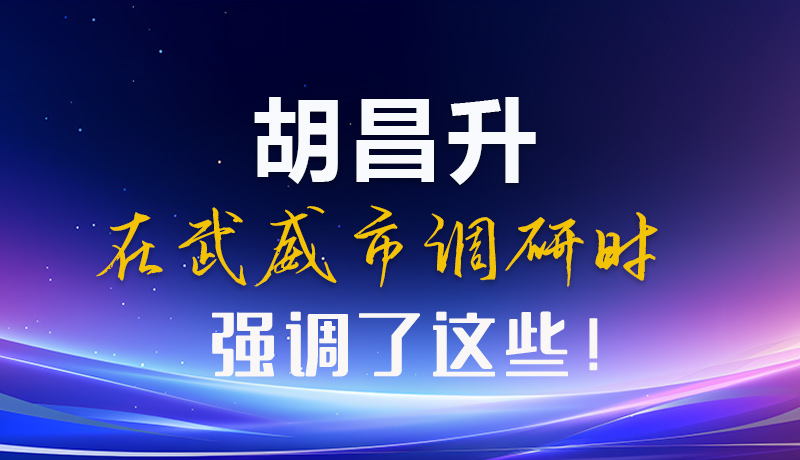 圖解|胡昌升在武威市調(diào)研時強調(diào)了這些！