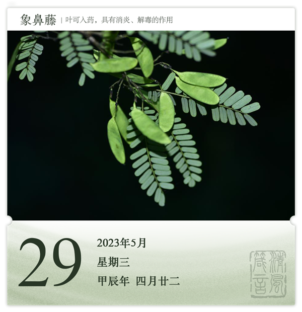 箴歷日歷5-29.png