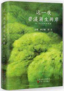 《這一夜碧溪潮生兩岸》新書(shū)在京首發(fā)