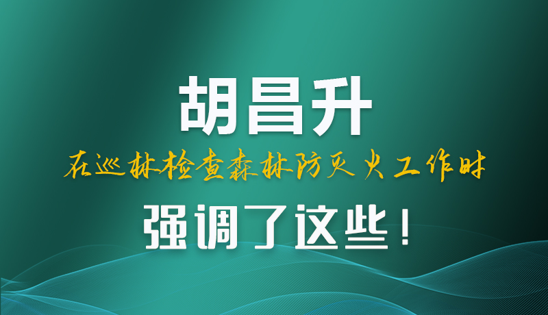 圖解|胡昌升在巡林檢查森林防滅火工作時強調(diào)了這些！